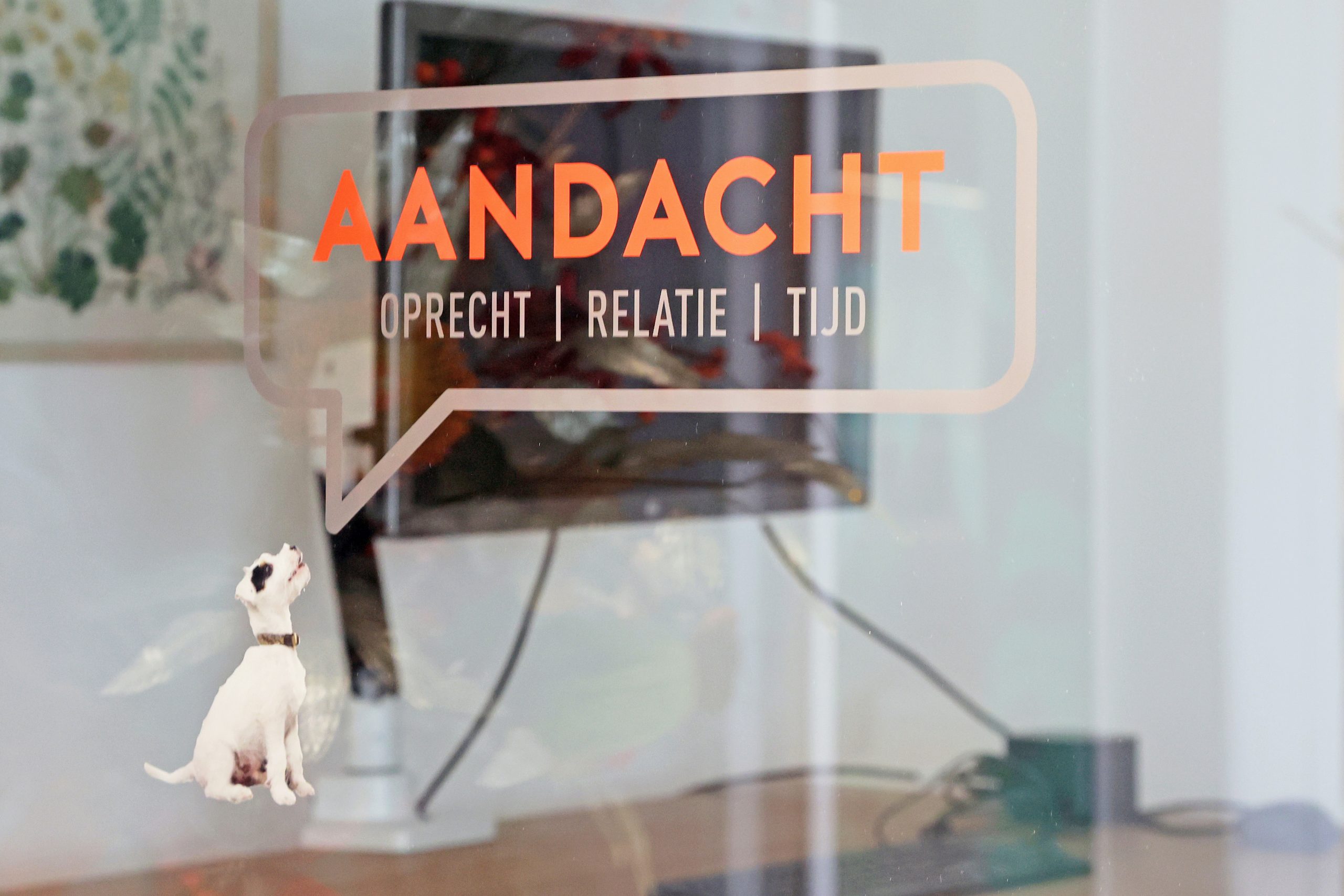 Onderzoeksplicht bij aanbesteding